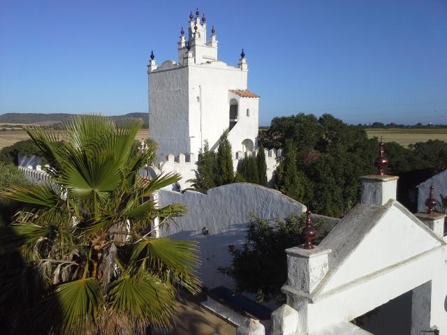 Spanish Beaches & Horses - horseXperiences™ GO EQUESTRIAN