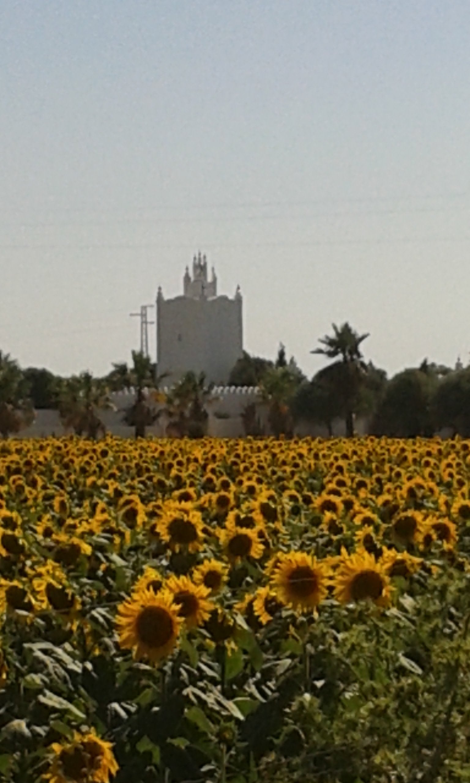 Spanish Beaches & Horses - horseXperiences™ GO EQUESTRIAN