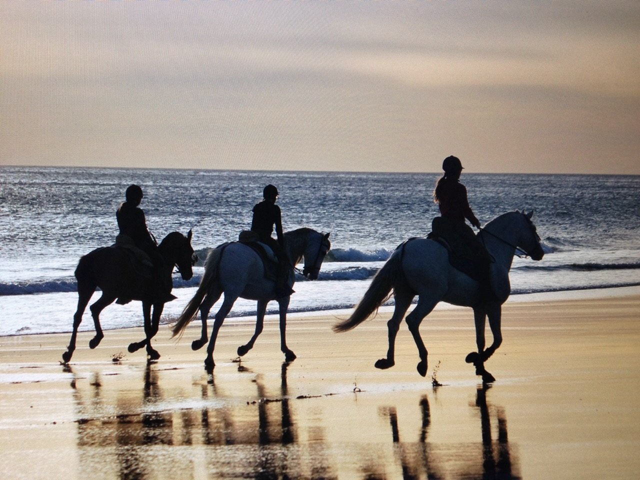 Spanish Beaches & Horses - horseXperiences™ GO EQUESTRIAN