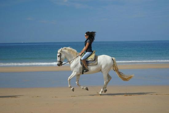 Spanish Beaches & Horses - horseXperiences™ GO EQUESTRIAN