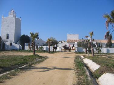 Spanish Beaches & Horses - horseXperiences™ GO EQUESTRIAN