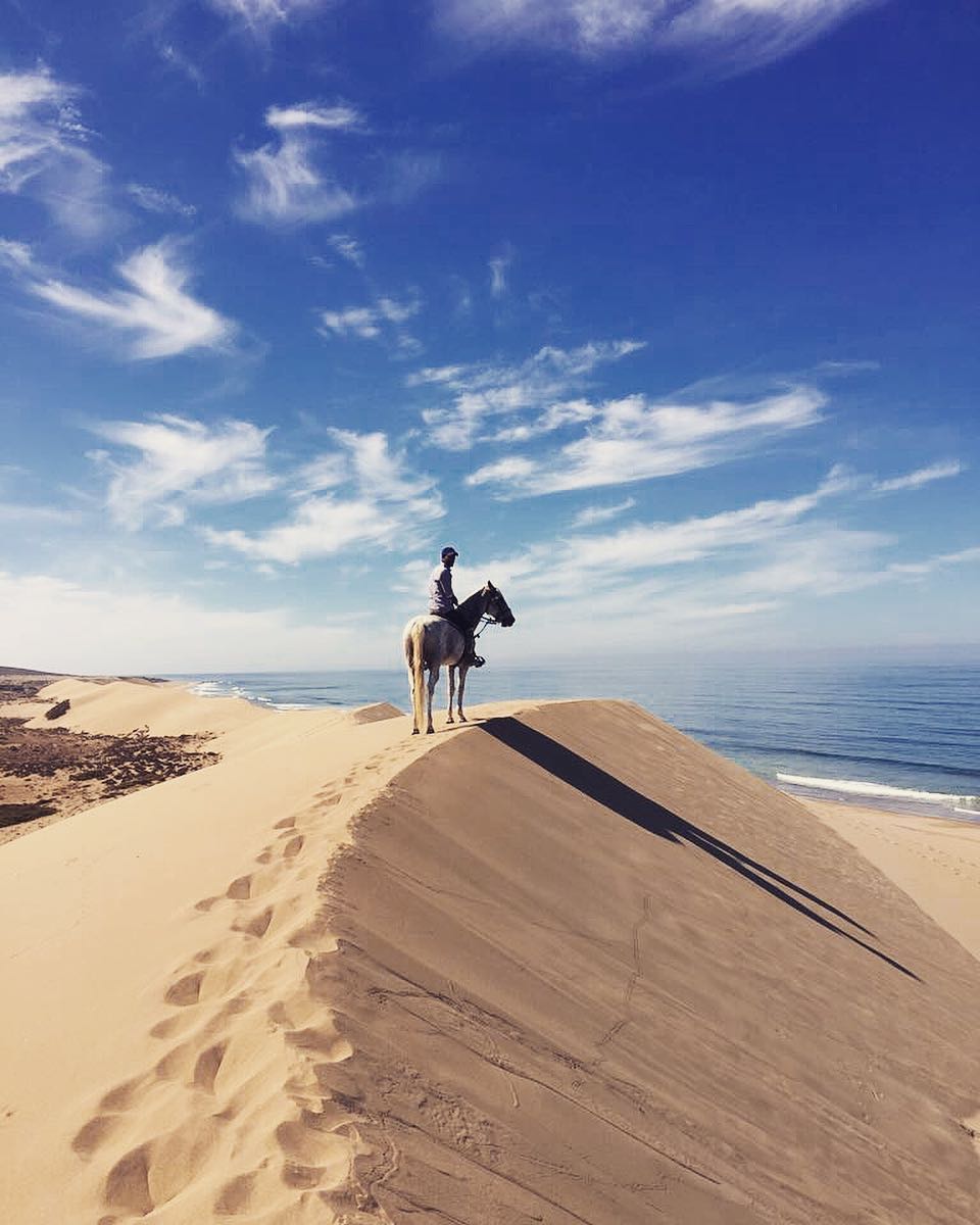 Big South Beaches - horseXperiences™ GO EQUESTRIAN