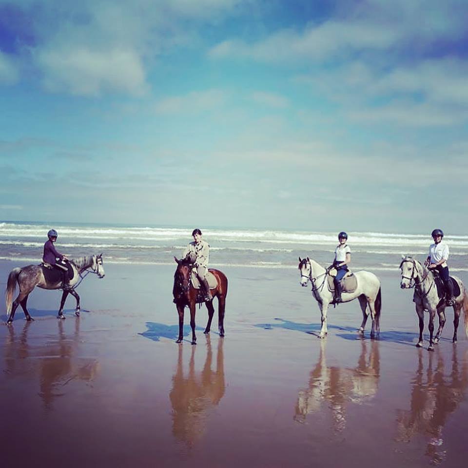 Big South Beaches - horseXperiences™ GO EQUESTRIAN