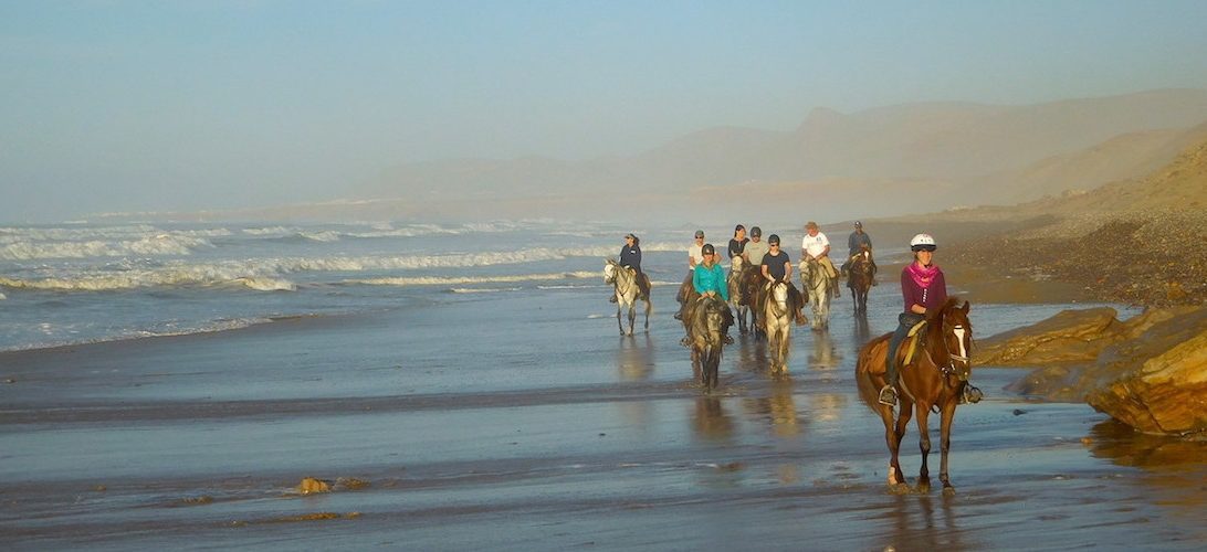 Big South Beaches - horseXperiences™ GO EQUESTRIAN