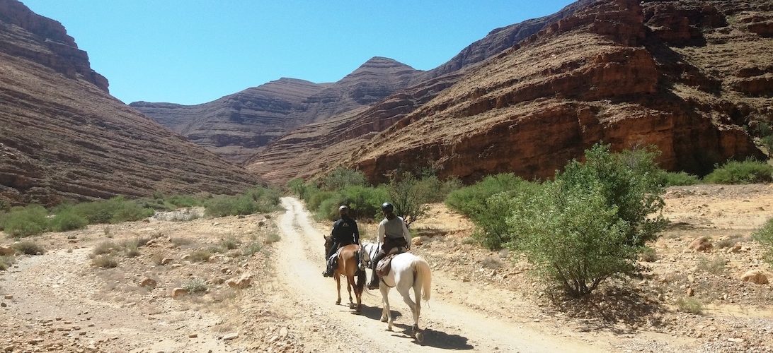 The Green Valley - horseXperiences™ GO EQUESTRIAN