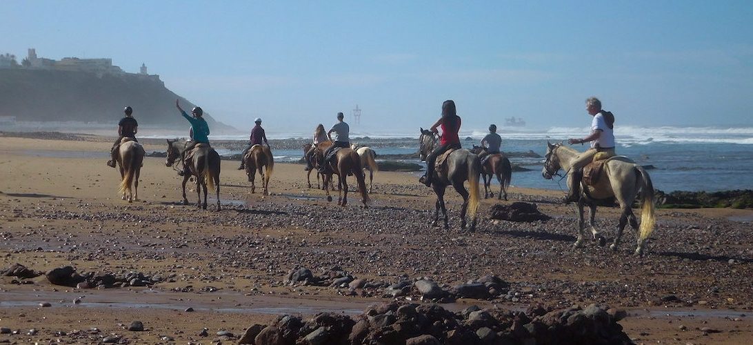 Big South Beaches - horseXperiences™ GO EQUESTRIAN