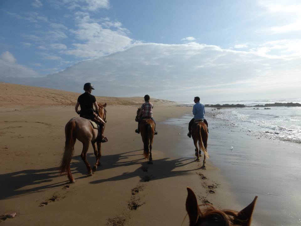 Big South Beaches - horseXperiences™ GO EQUESTRIAN