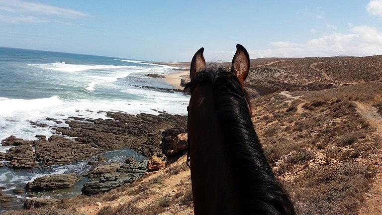 Sea, Mountain & Desert - horseXperiences™ GO EQUESTRIAN