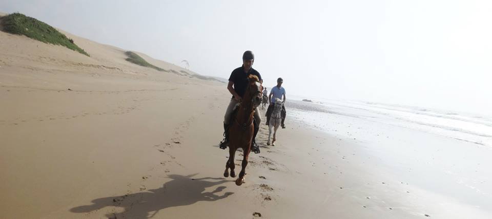 Big South Beaches - horseXperiences™ GO EQUESTRIAN