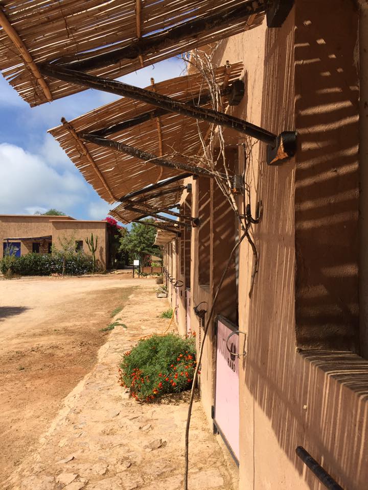 Big South Beaches - horseXperiences™ GO EQUESTRIAN