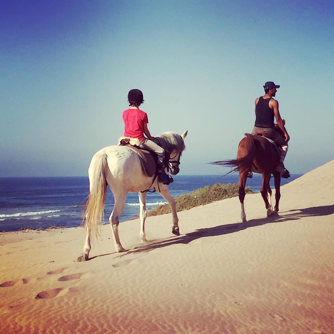 Big South Beaches - horseXperiences™ GO EQUESTRIAN