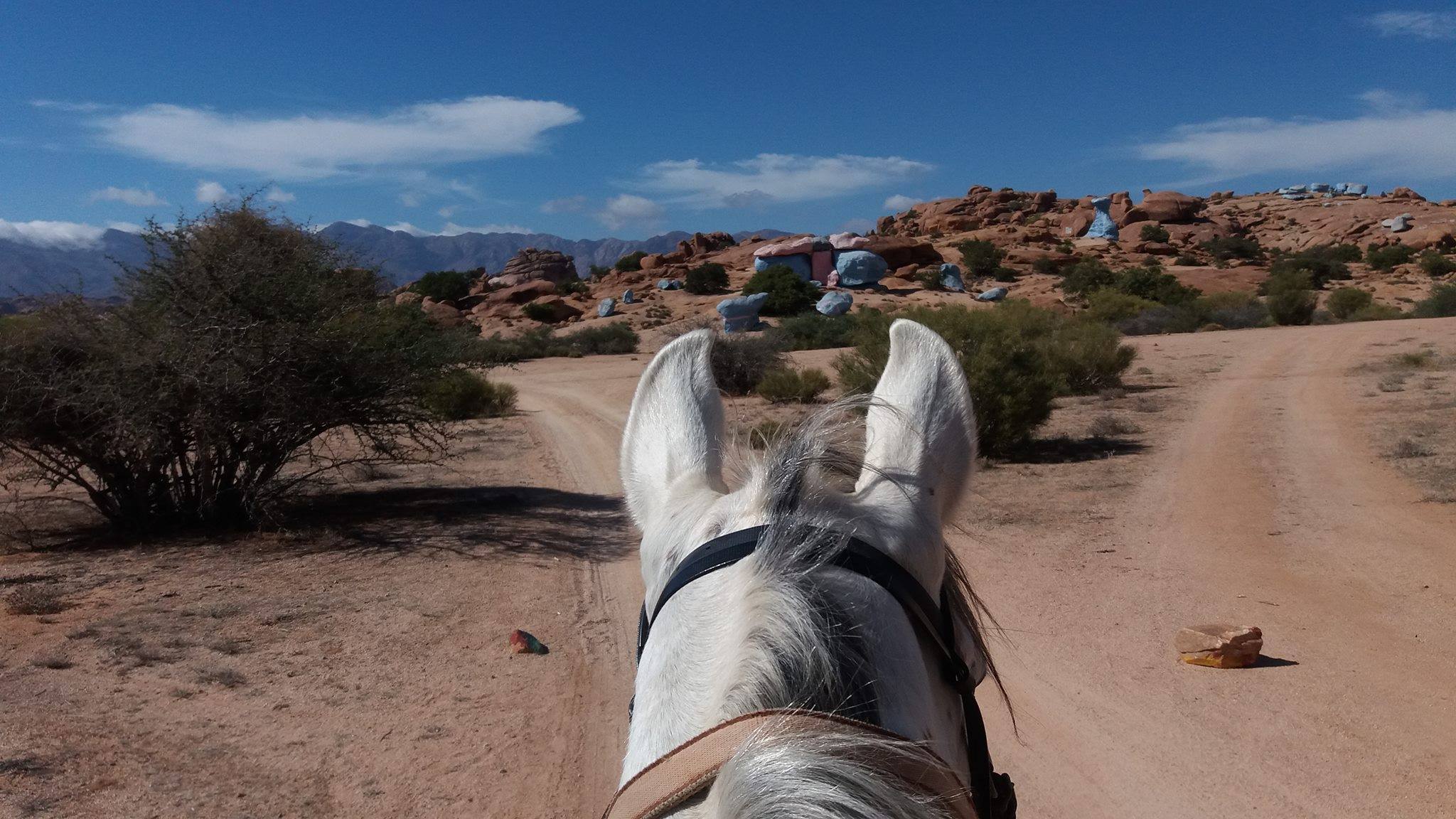 The Green Valley - horseXperiences™ GO EQUESTRIAN