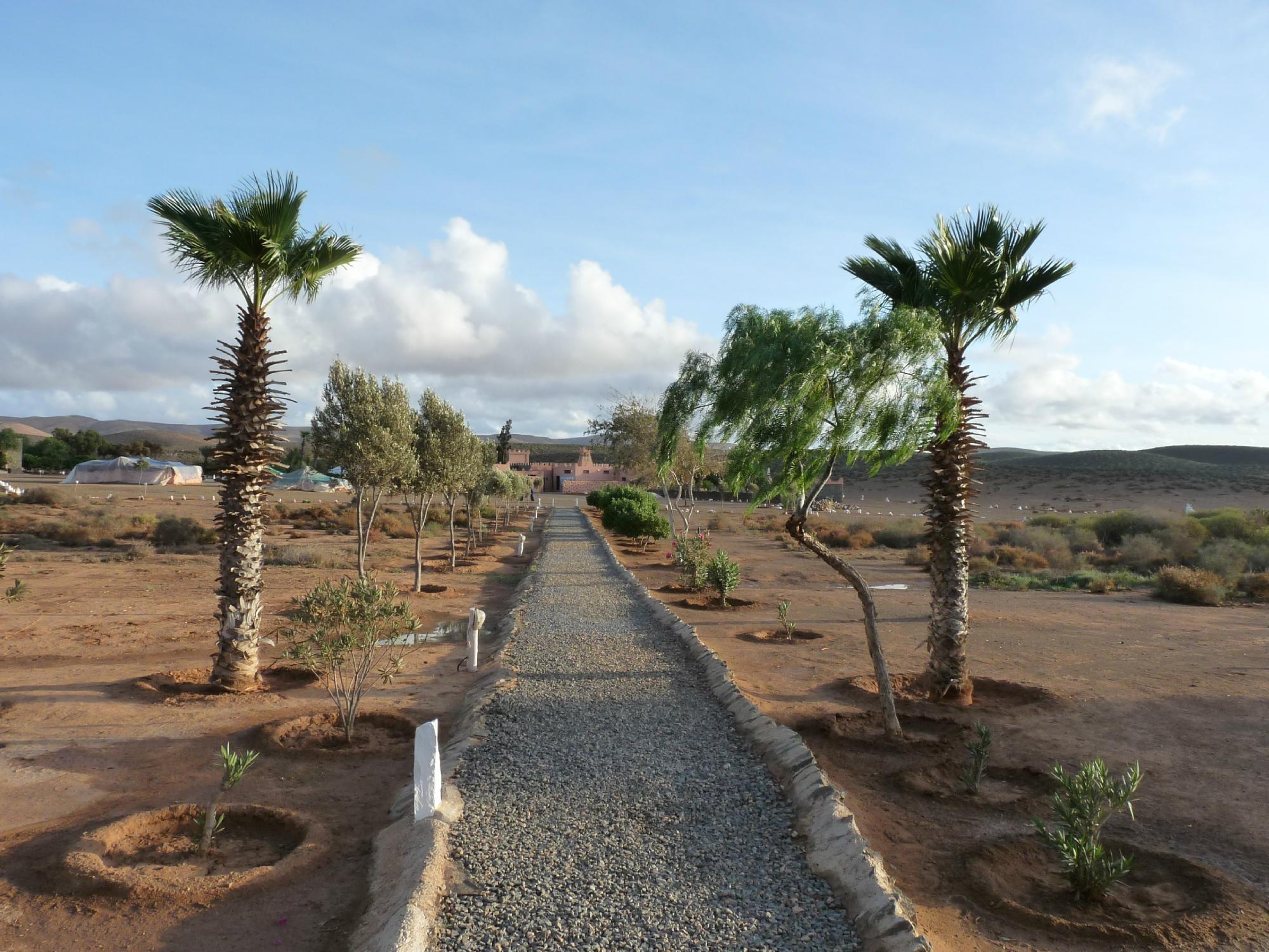 Sea, Mountain & Desert - horseXperiences™ GO EQUESTRIAN