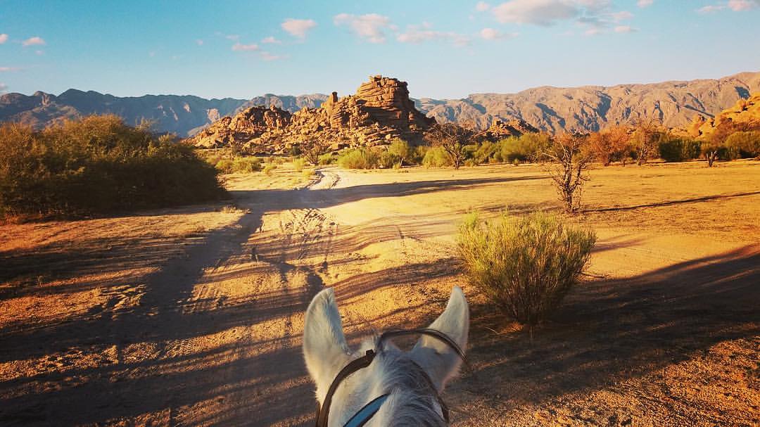 The Green Valley - horseXperiences™ GO EQUESTRIAN