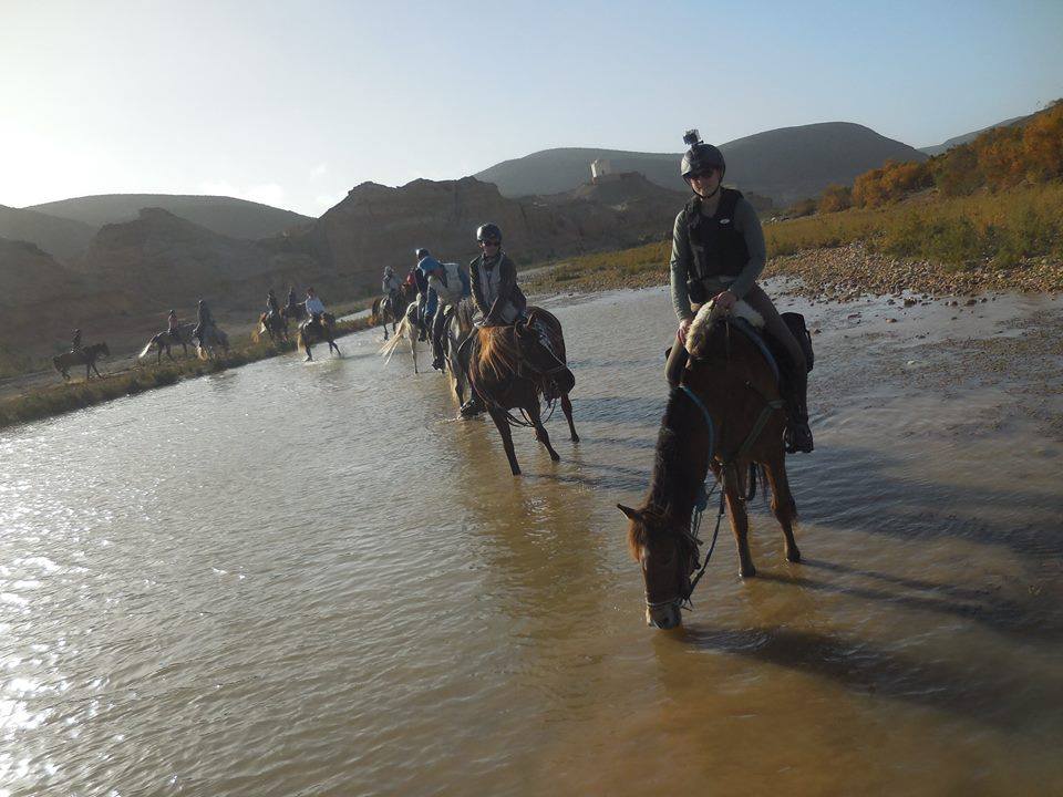 Sea, Mountain & Desert - horseXperiences™ GO EQUESTRIAN