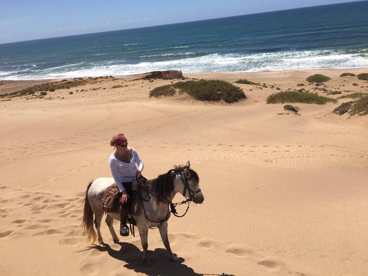 The Green Valley - horseXperiences™ GO EQUESTRIAN