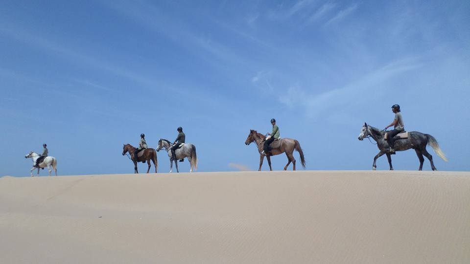 Sea, Mountain & Desert - horseXperiences™ GO EQUESTRIAN