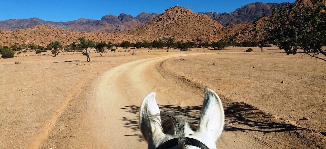 The Green Valley - horseXperiences™ GO EQUESTRIAN