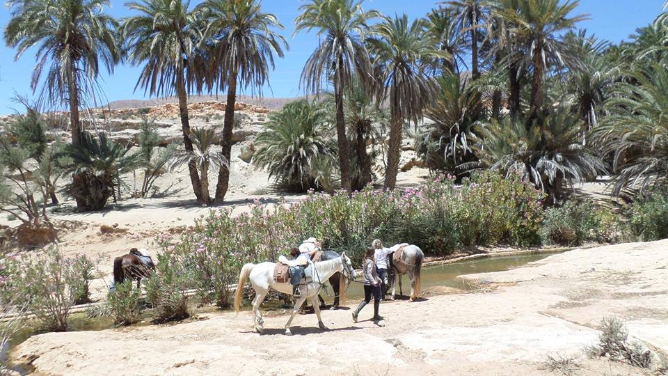 Sea, Mountain & Desert - horseXperiences™ GO EQUESTRIAN