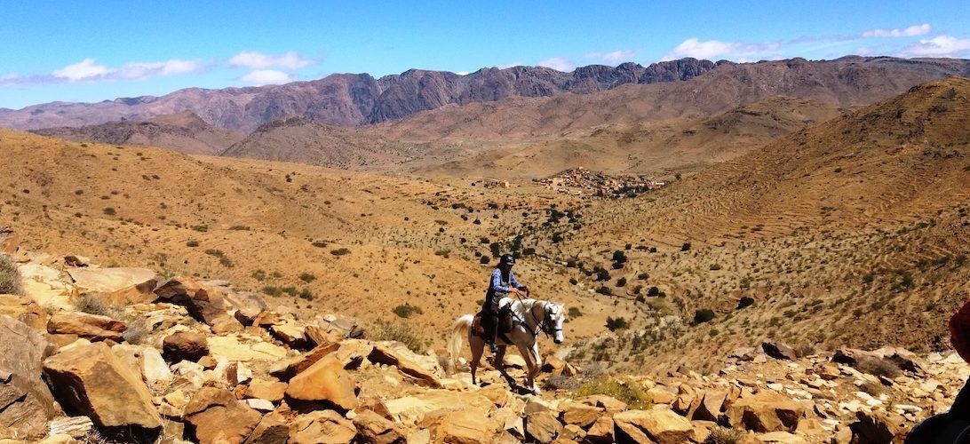 The Green Valley - horseXperiences™ GO EQUESTRIAN