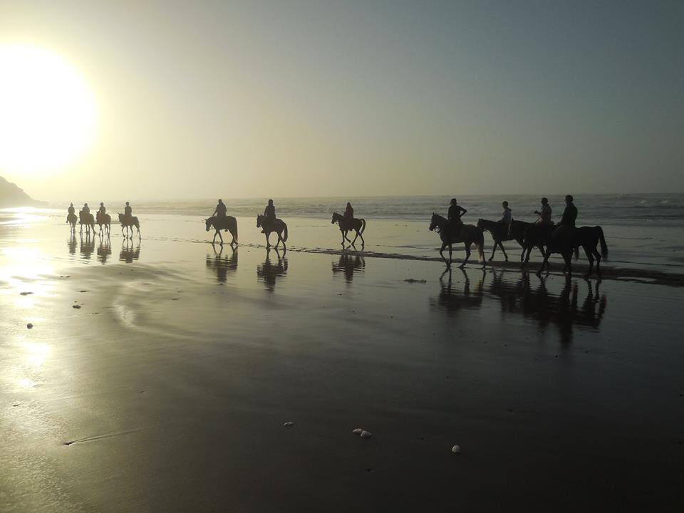 Sea, Mountain & Desert - horseXperiences™ GO EQUESTRIAN
