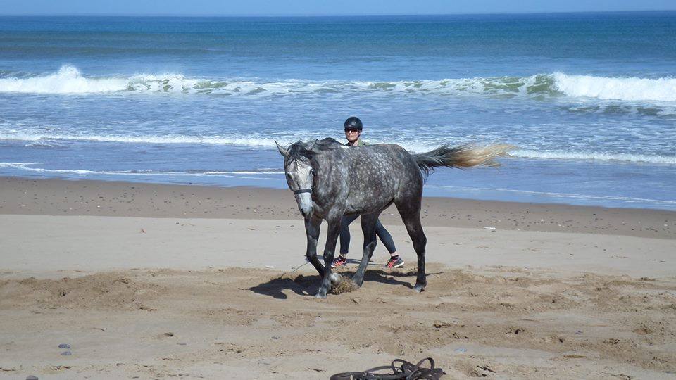 Sea, Mountain & Desert - horseXperiences™ GO EQUESTRIAN