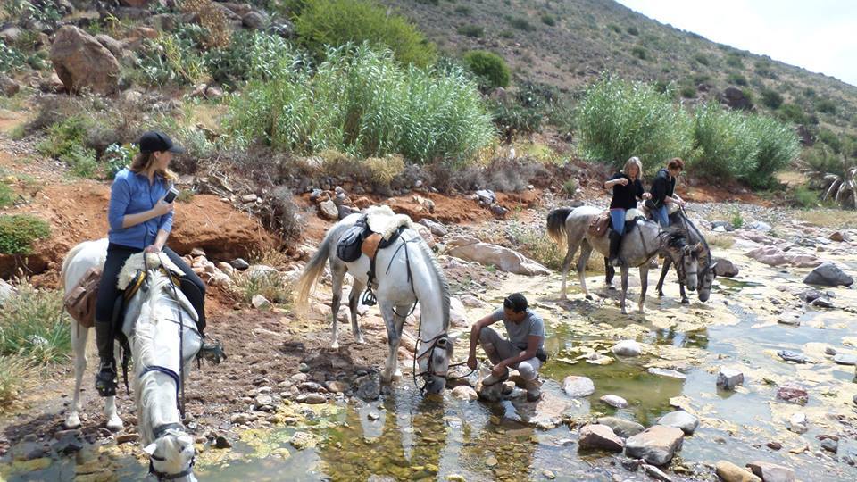 Sea, Mountain & Desert - horseXperiences™ GO EQUESTRIAN