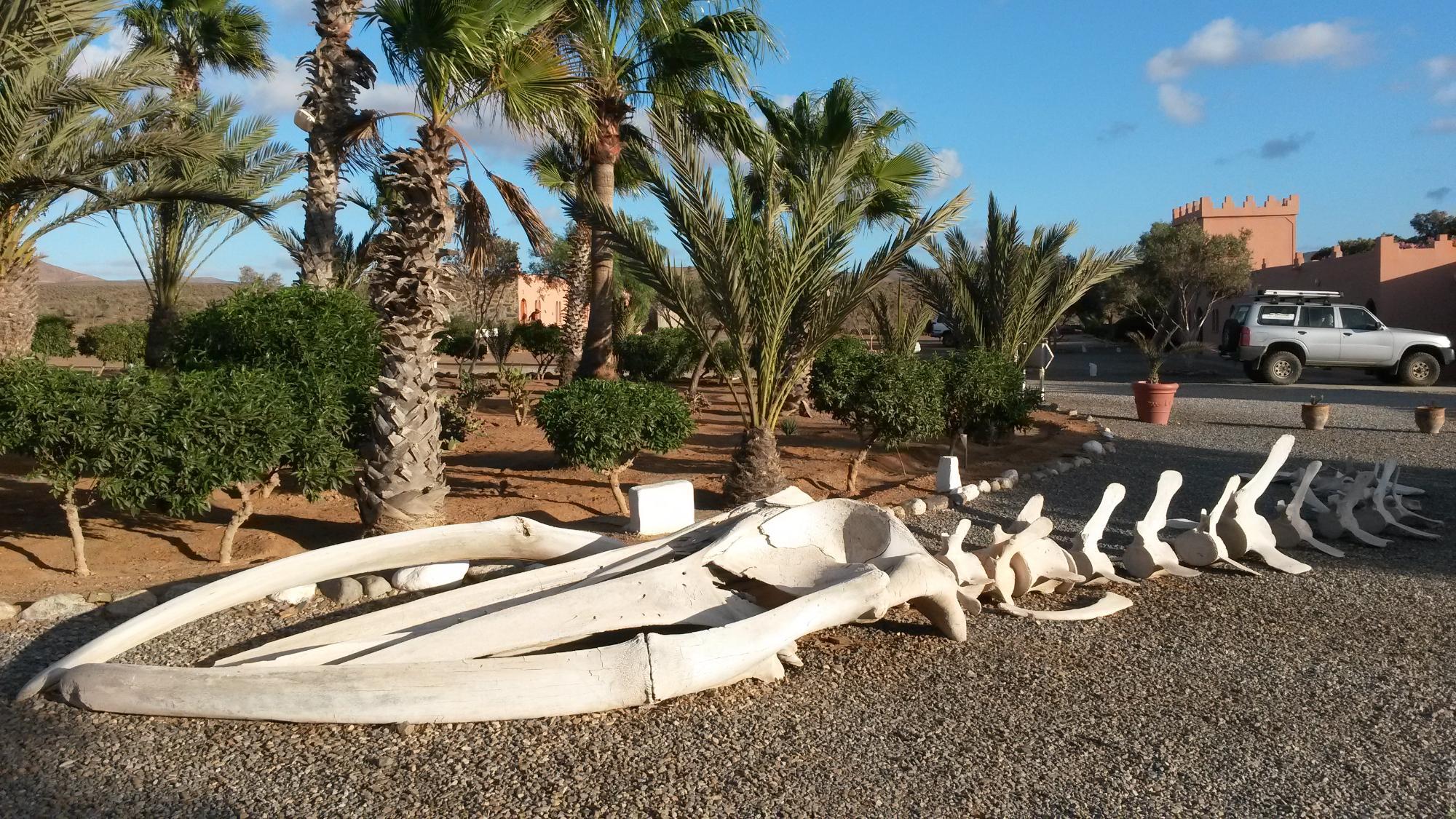 Sea, Mountain & Desert - horseXperiences™ GO EQUESTRIAN