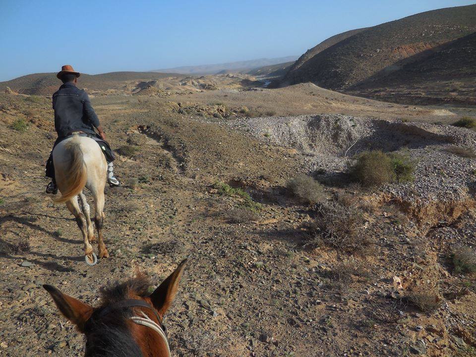 Sea, Mountain & Desert - horseXperiences™ GO EQUESTRIAN