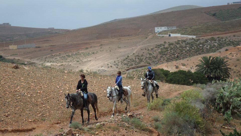 Sea, Mountain & Desert - horseXperiences™ GO EQUESTRIAN