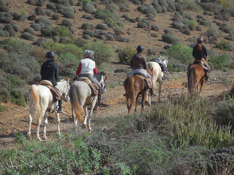 Sea, Mountain & Desert - horseXperiences™ GO EQUESTRIAN