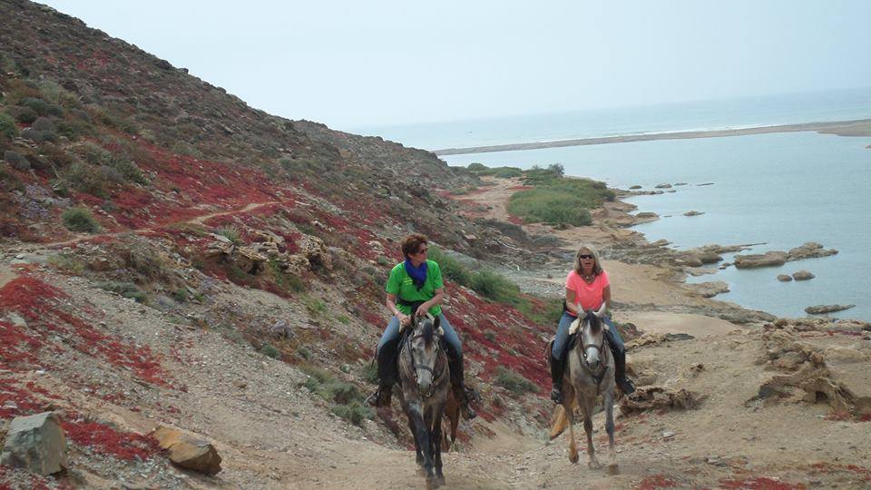 Sea, Mountain & Desert - horseXperiences™ GO EQUESTRIAN