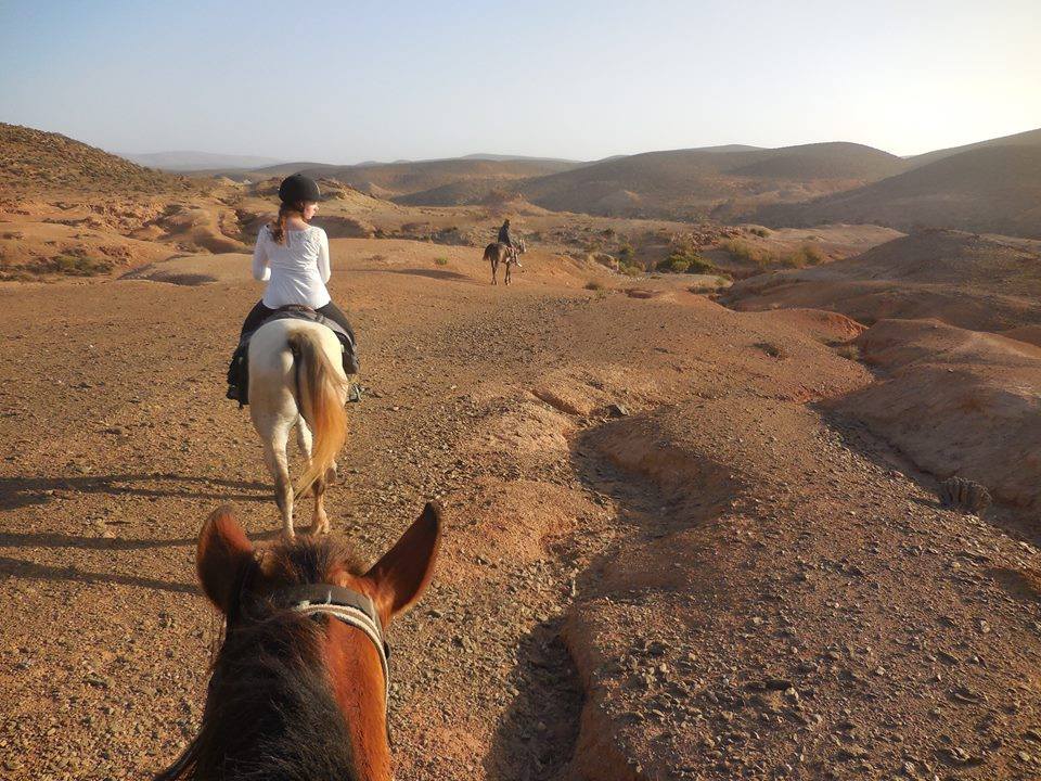 Sea, Mountain & Desert - horseXperiences™ GO EQUESTRIAN