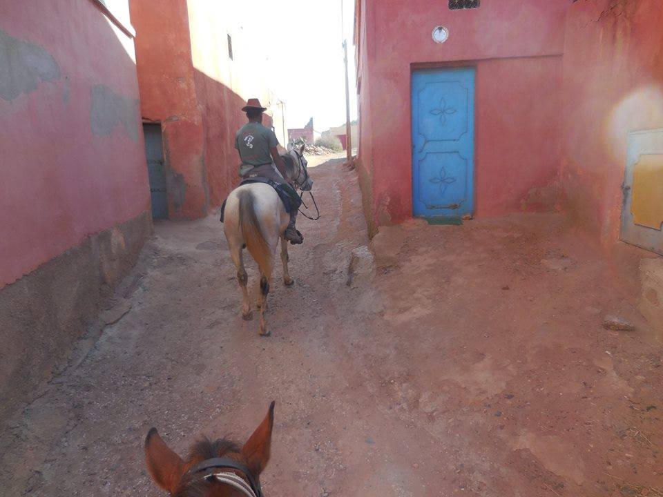 Sea, Mountain & Desert - horseXperiences™ GO EQUESTRIAN