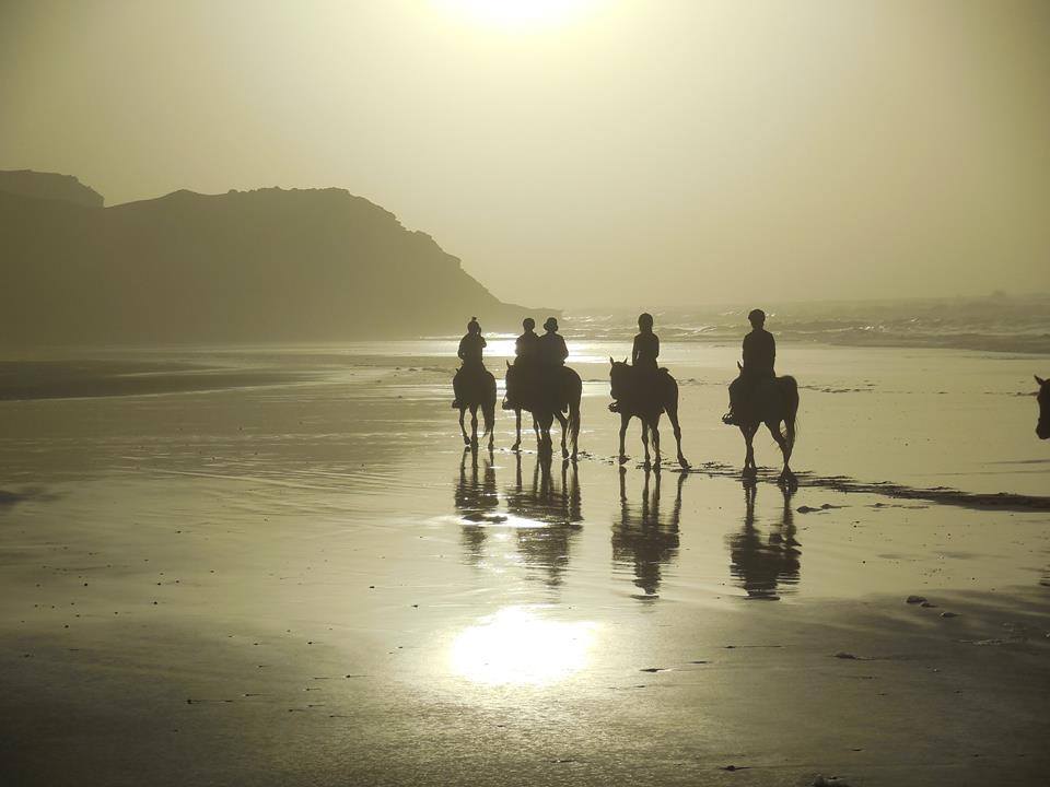 Sea, Mountain & Desert - horseXperiences™ GO EQUESTRIAN