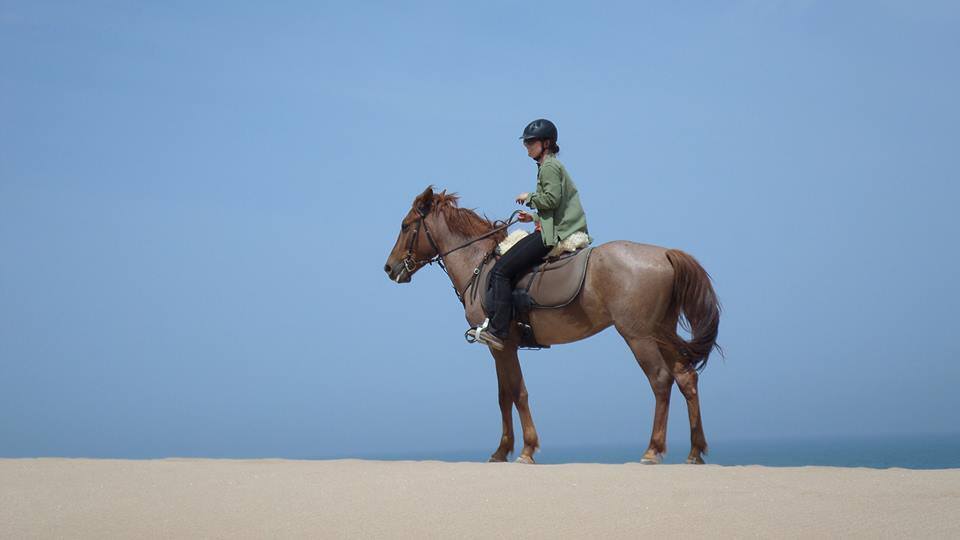 Sea, Mountain & Desert - horseXperiences™ GO EQUESTRIAN