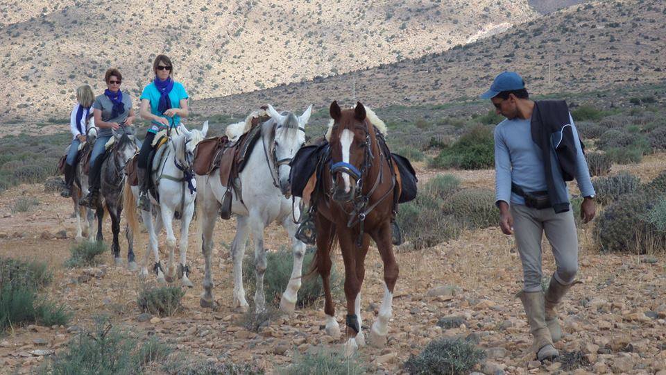 Sea, Mountain & Desert - horseXperiences™ GO EQUESTRIAN