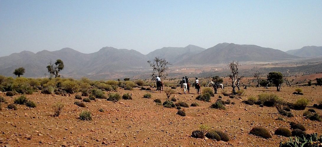 Sea, Mountain & Desert - horseXperiences™ GO EQUESTRIAN