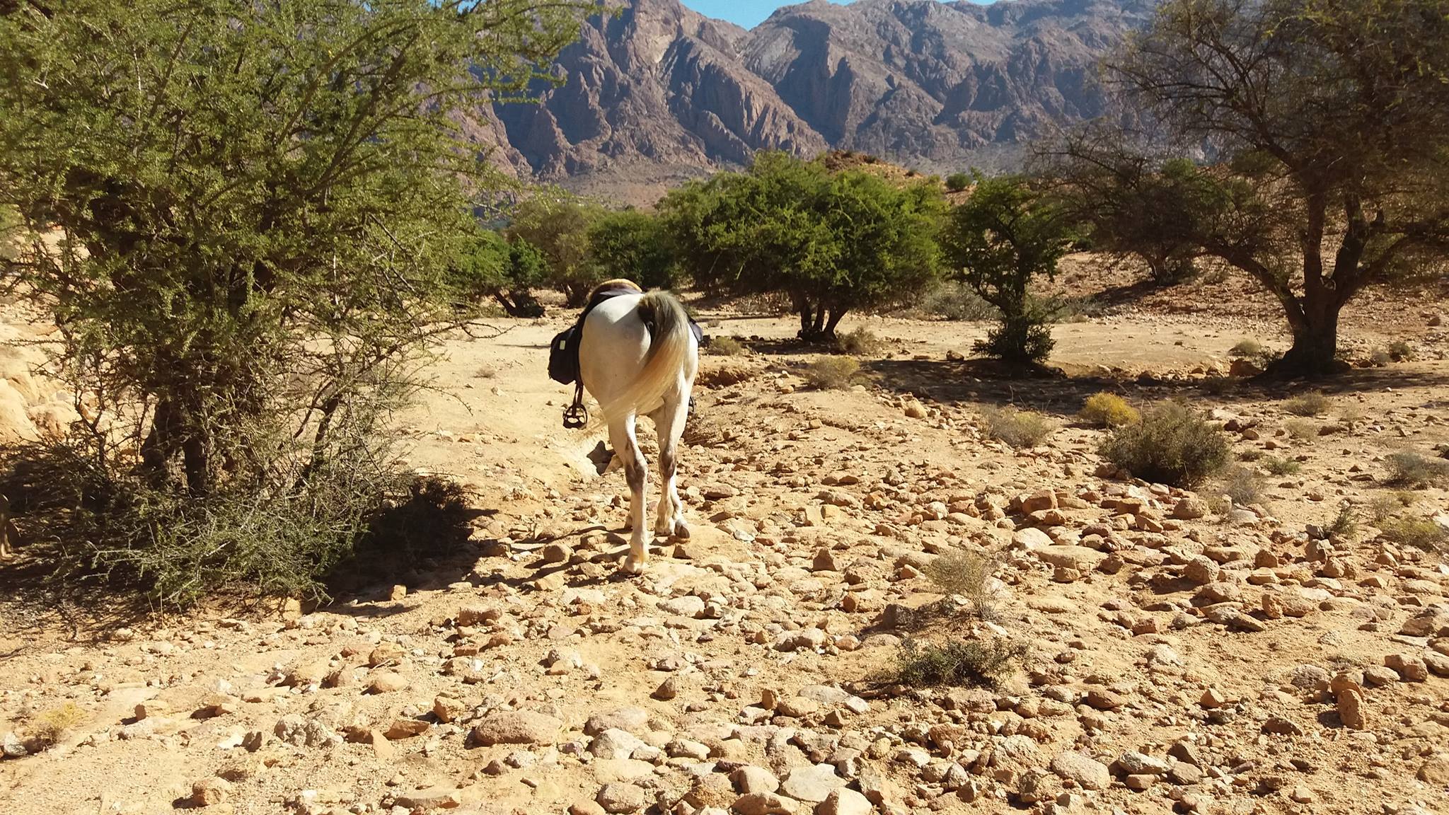 The Green Valley - horseXperiences™ GO EQUESTRIAN