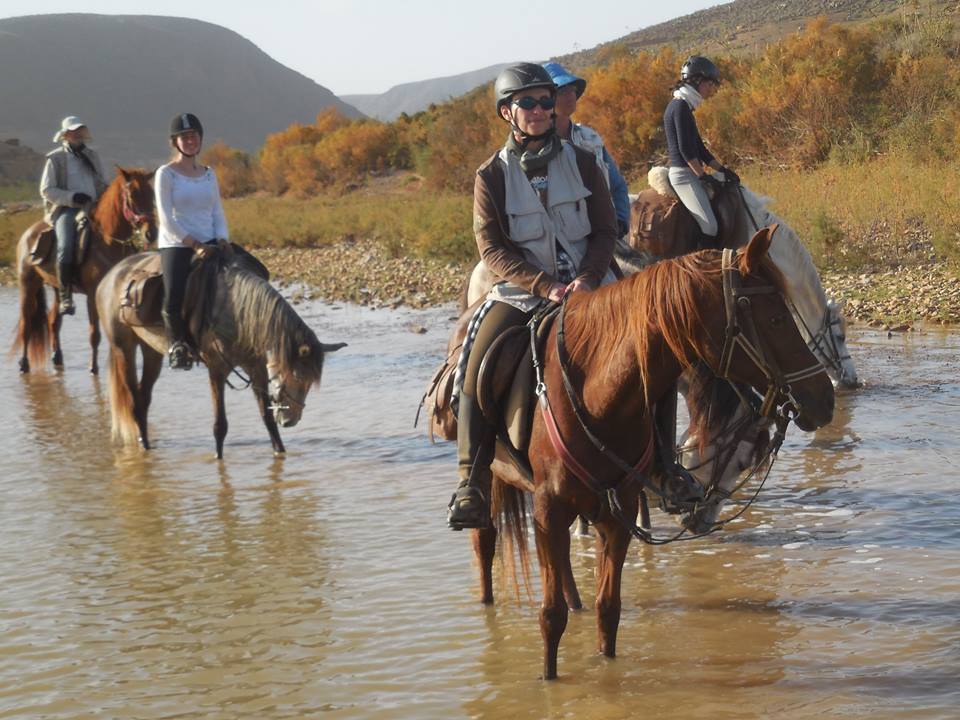 Sea, Mountain & Desert - horseXperiences™ GO EQUESTRIAN