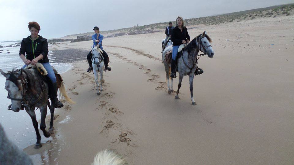 Sea, Mountain & Desert - horseXperiences™ GO EQUESTRIAN