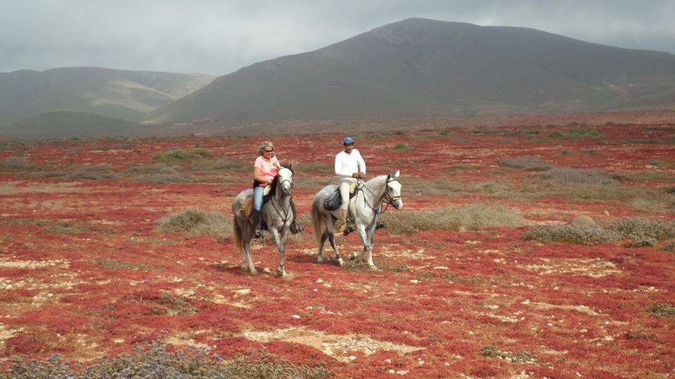 Sea, Mountain & Desert - horseXperiences™ GO EQUESTRIAN