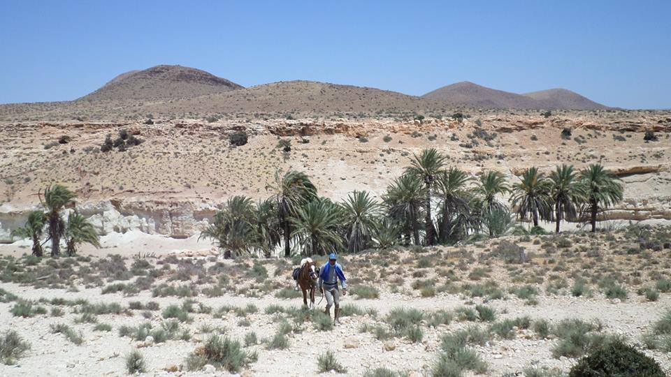 Sea, Mountain & Desert - horseXperiences™ GO EQUESTRIAN