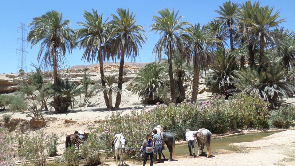 Sea, Mountain & Desert - horseXperiences™ GO EQUESTRIAN