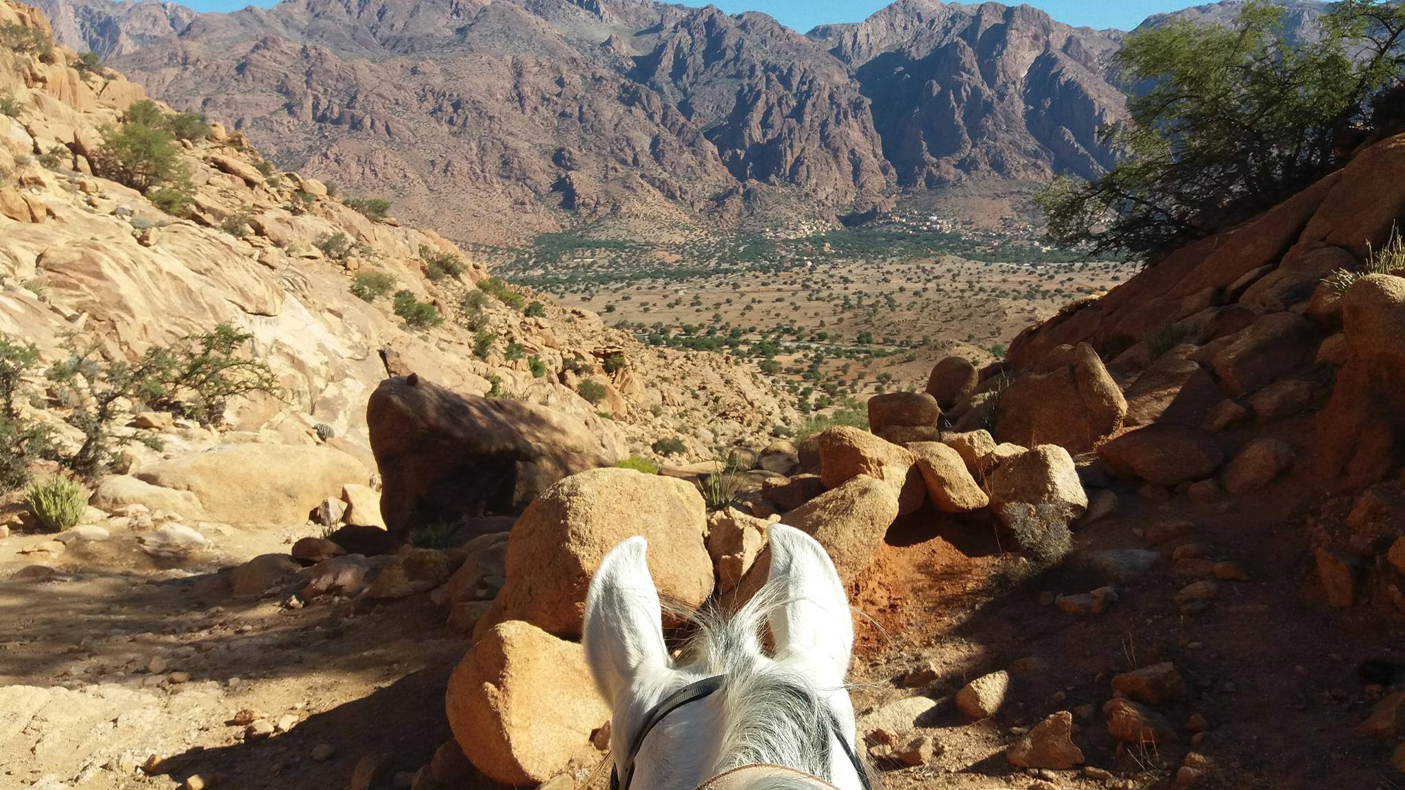 The Green Valley - horseXperiences™ GO EQUESTRIAN