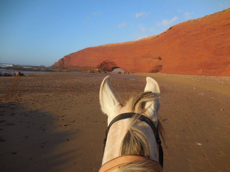 Sea, Mountain & Desert - horseXperiences™ GO EQUESTRIAN