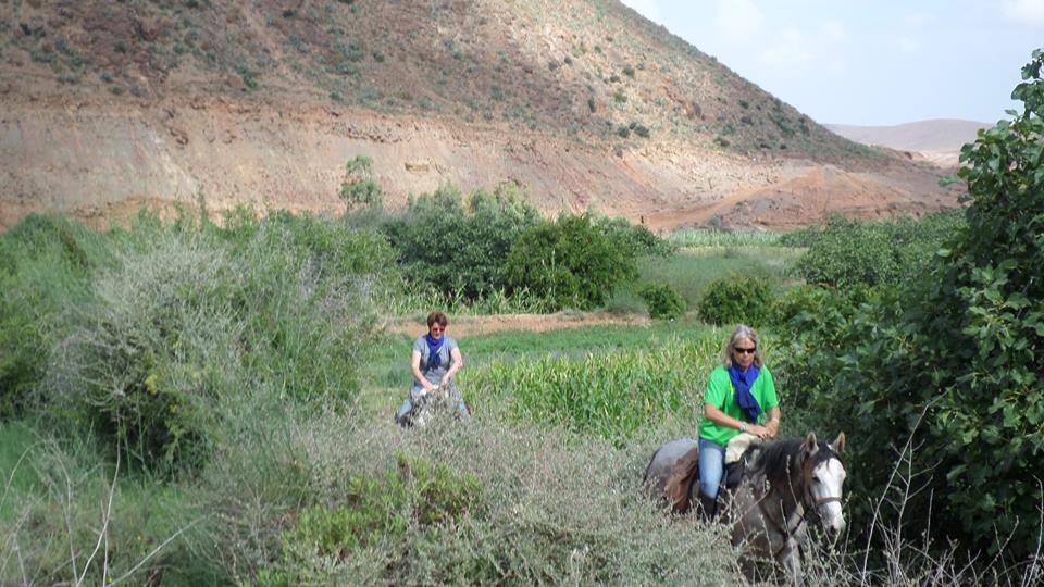 Sea, Mountain & Desert - horseXperiences™ GO EQUESTRIAN