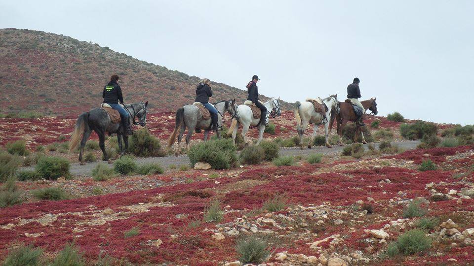 Sea, Mountain & Desert - horseXperiences™ GO EQUESTRIAN