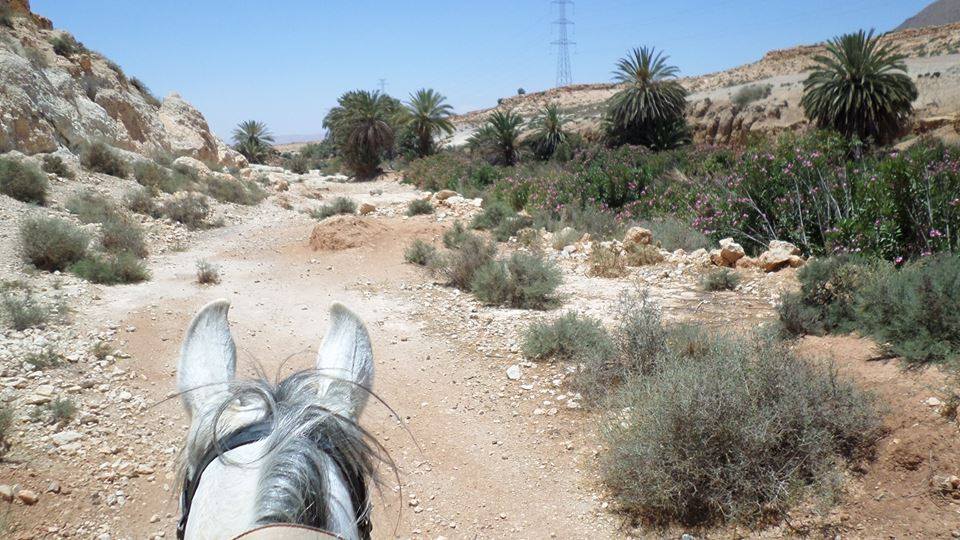 Sea, Mountain & Desert - horseXperiences™ GO EQUESTRIAN
