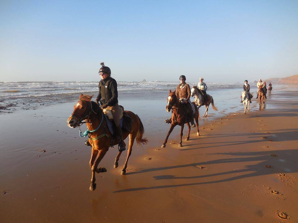 Sea, Mountain & Desert - horseXperiences™ GO EQUESTRIAN